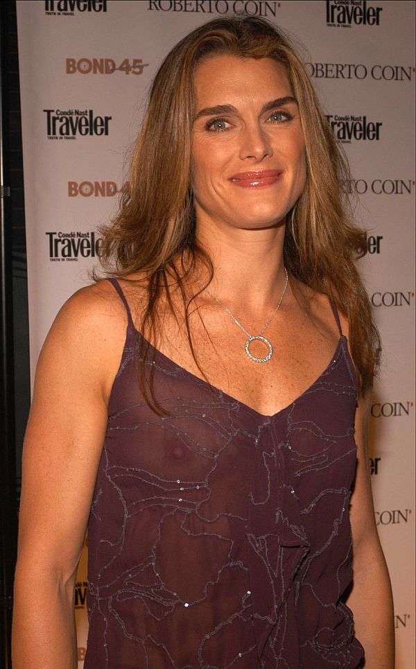 Brooke Shields Nice See Thru Tit Shot, I Love That Flash!