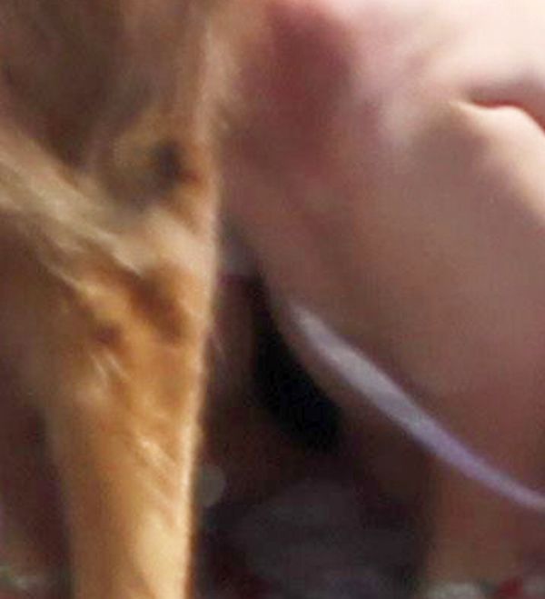 Amanda Seyfried Panty Upskirt!! MAMMA MIA!!