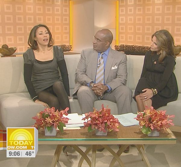 Ann Curry Pantyhose Upskirt