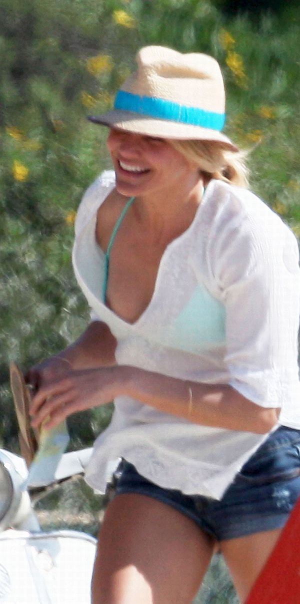 Cameron Diaz Nip Slip