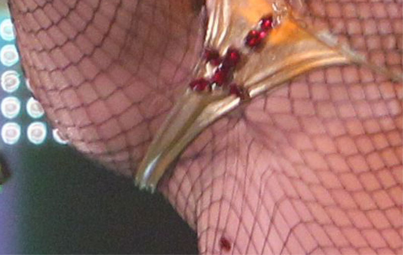 Kesha Onstage, wait are those her LIPS?