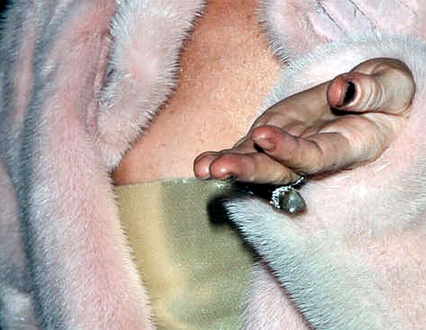 Lindsay Lohan Areola Slip Kiss