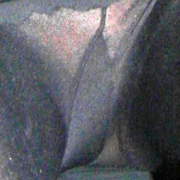 Noel Gallagher Ex-Wife MEG MATHEW Upskirt See Through Pantyhose. Thanks To Charles Pycraft From YD Image