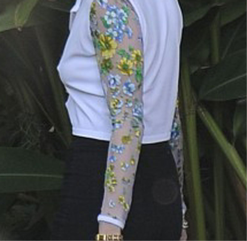 Miley Cyrus Braless Pokies