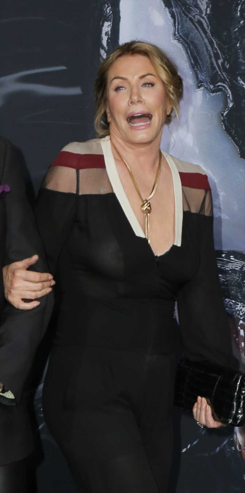 Shannon Tweed Nipples on the Red Carpet