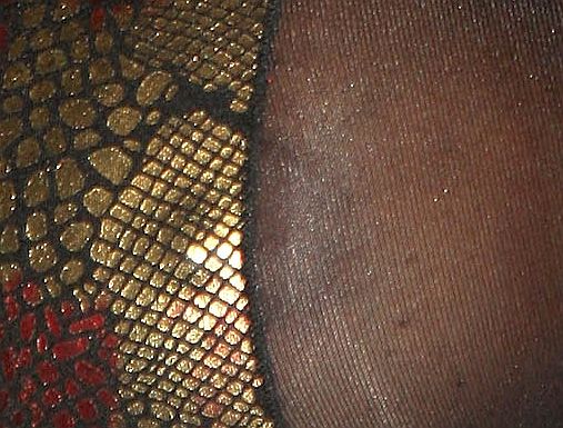 Traci Bingham See Through Dress Shows Off Nipple