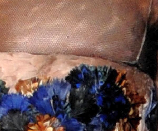 Vanessa Paradis See Through Areola Peek