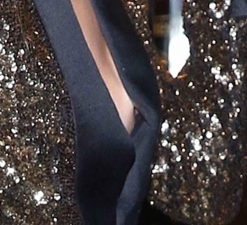 Megan Fox Gives Us a Peek at her Nipple