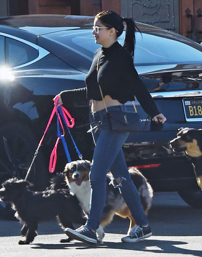 boobs, breasts, hooters, titties,