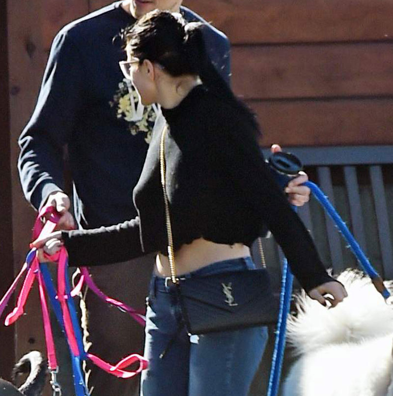 Ariel Winter Braless Pokies in Black Cutoff