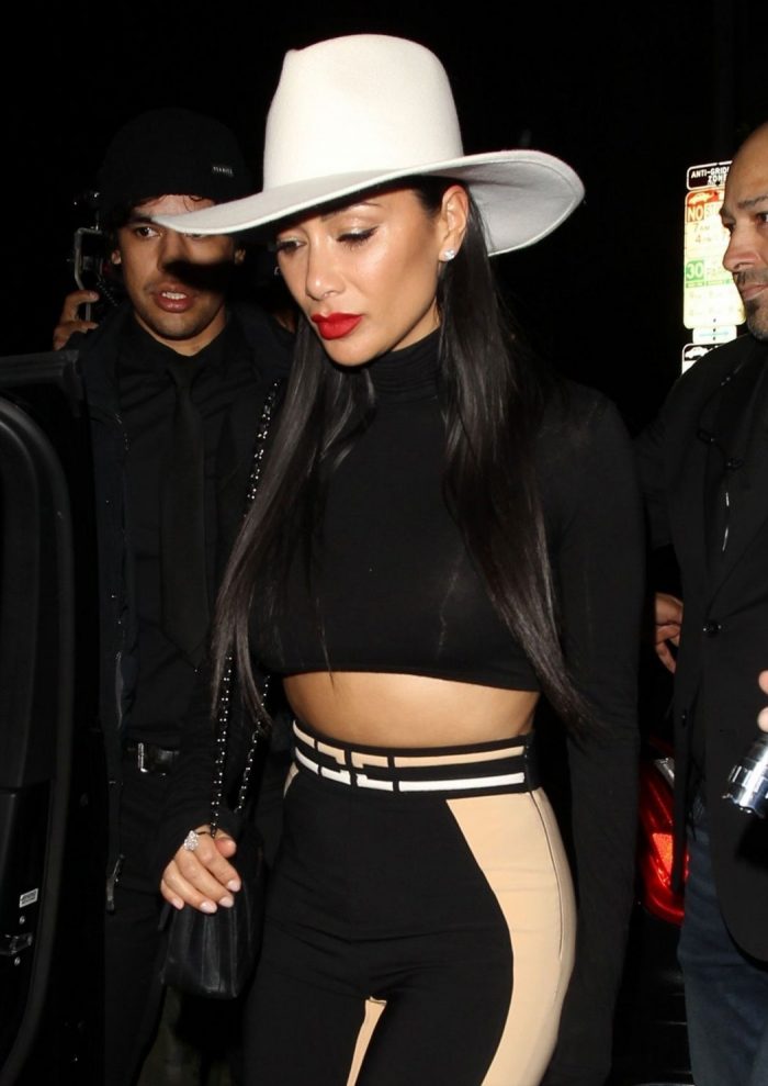 Nicole Scherzinger Parties in See-Through Top