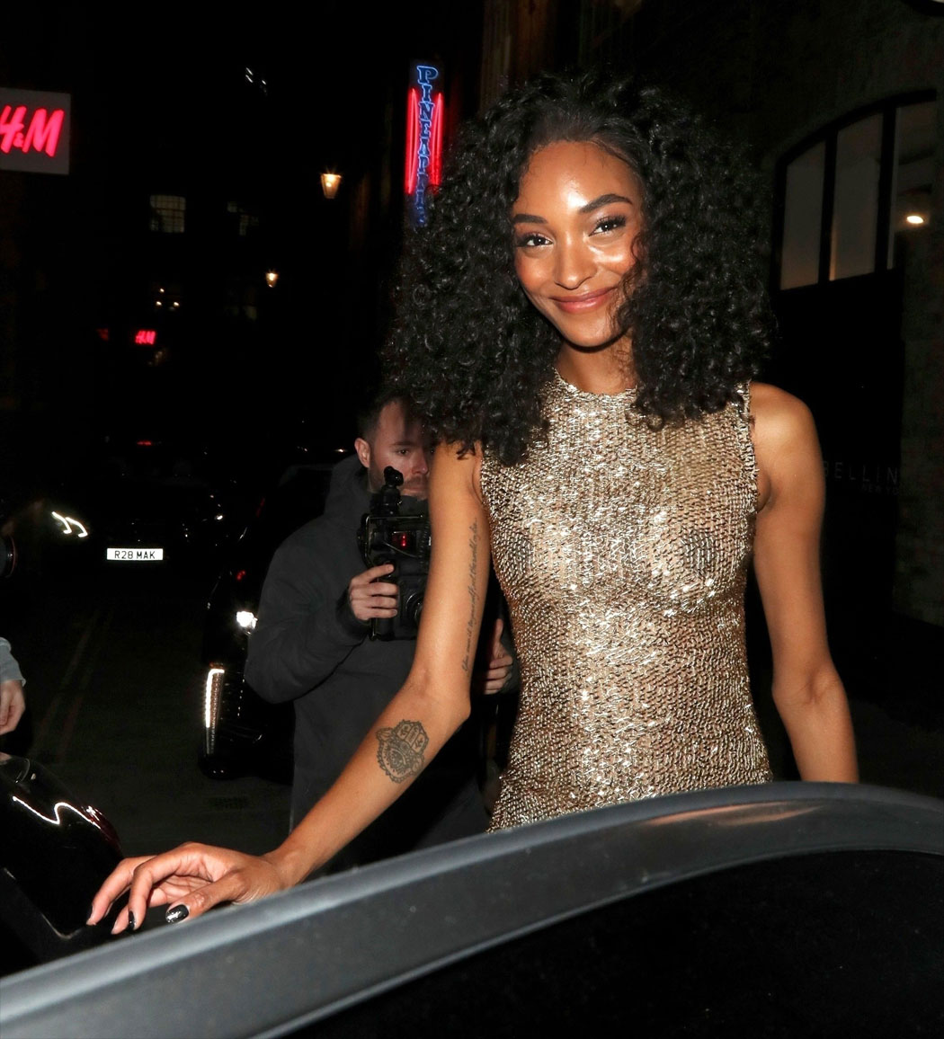 model, sheer, see-through, breasts, tits,