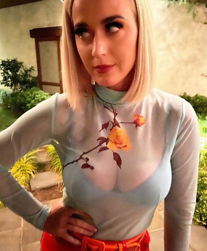 Katy Perry Busty in Light Blue Bra Under See Through Top