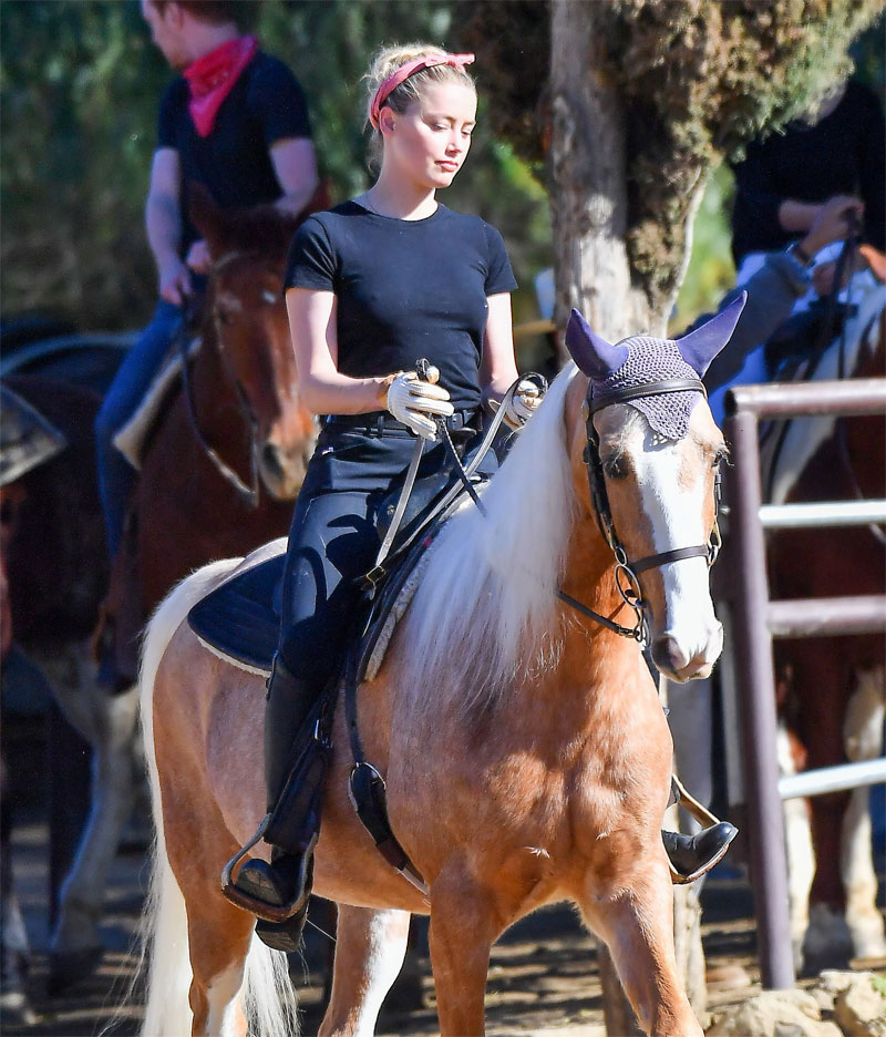 Amber Heard Braless Pokies on Horseback