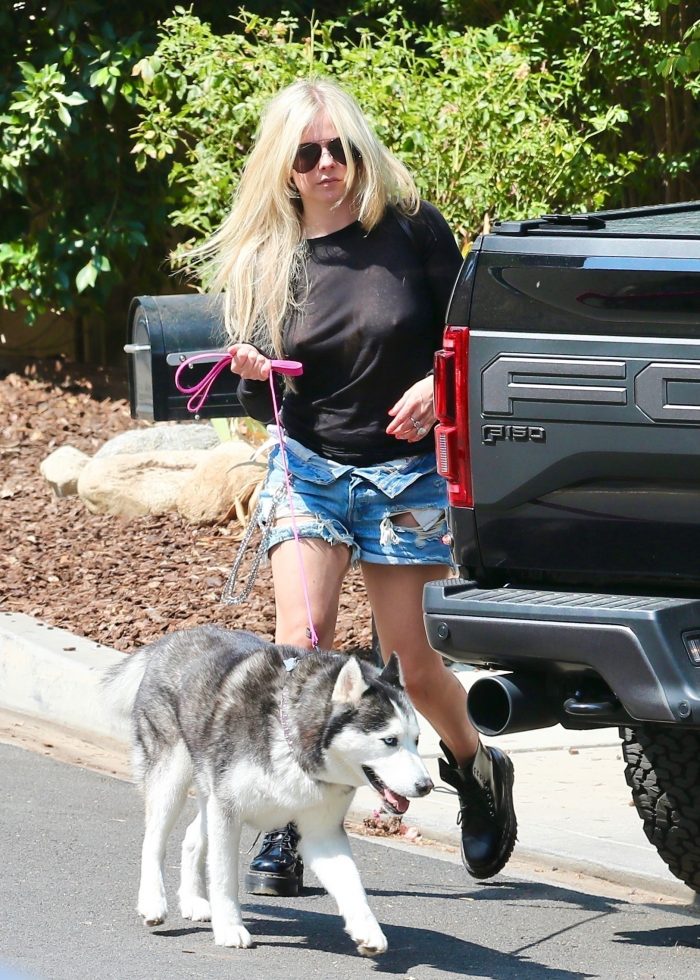 Avril Lavigne Nipple Pokes Delight