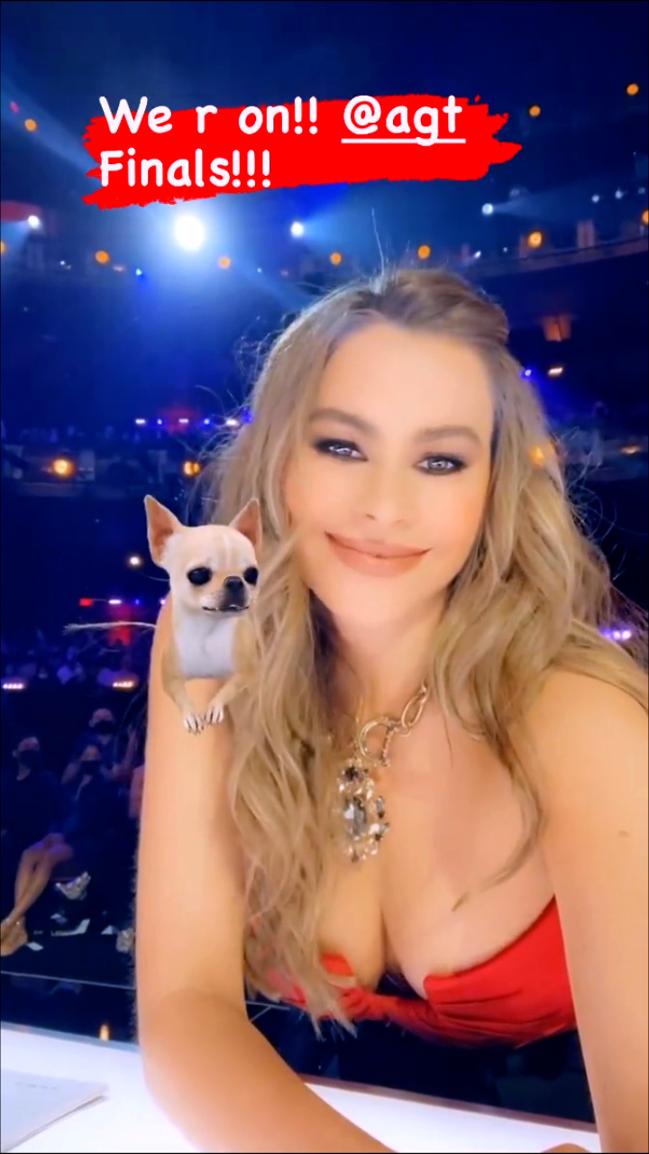 Sofia Vergara Hot Latina Cleavage