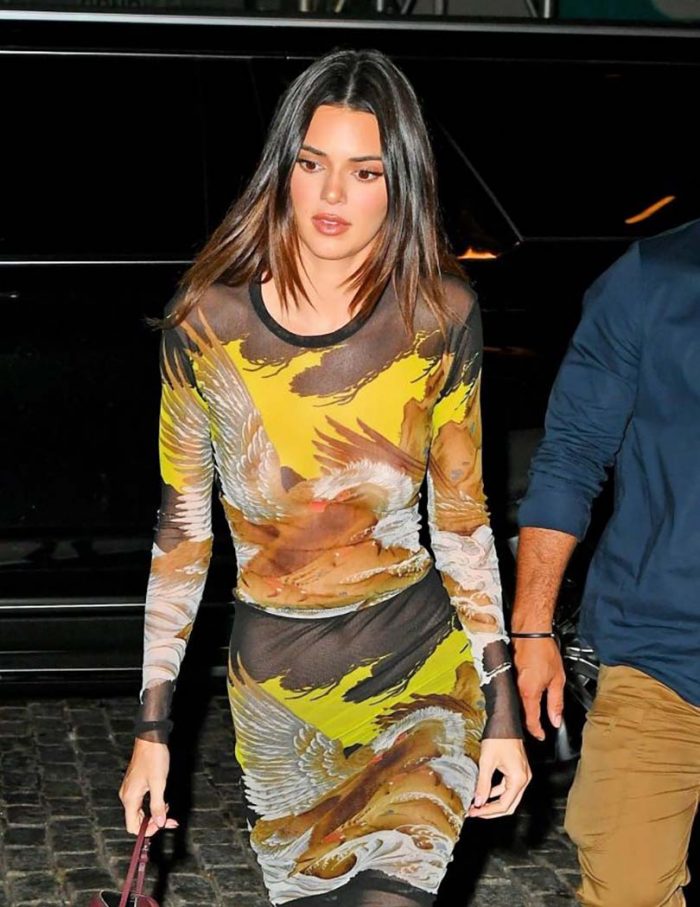 Kendall Jenner Braless In A See Through Dress
