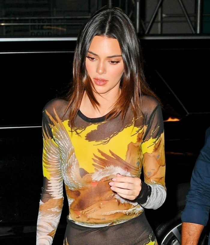 Kendall Jenner Braless In A See Through Dress