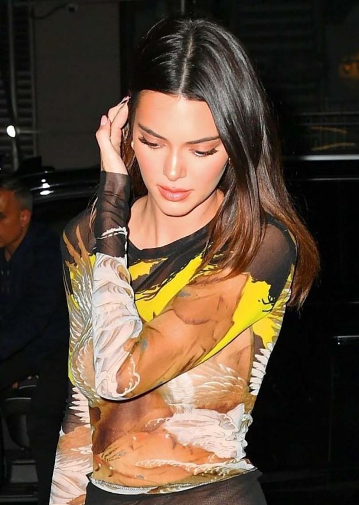 Kendall Jenner Braless In A See Through Dress